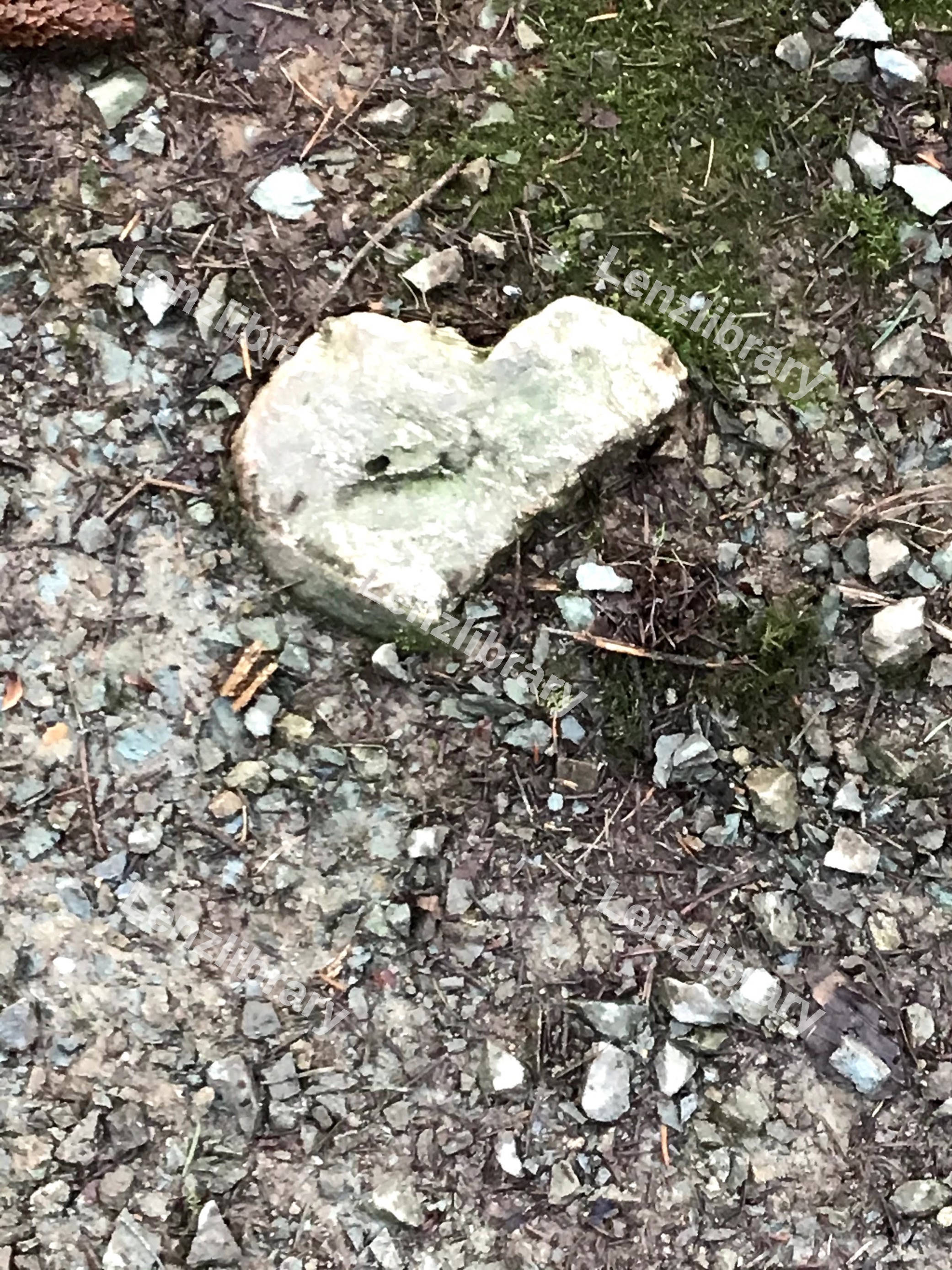 Heart Shaped Broken Rock